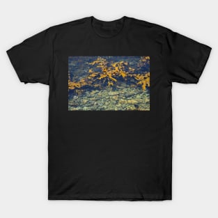 Gold Seaweed. T-Shirt